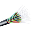 Imagem de exemplo genérica