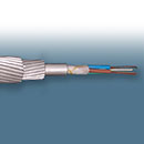 Imagem de exemplo genérica